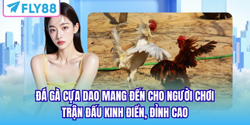Đá gà cựa dao mang đến cho người chơi trận đấu kinh điển, đỉnh cao