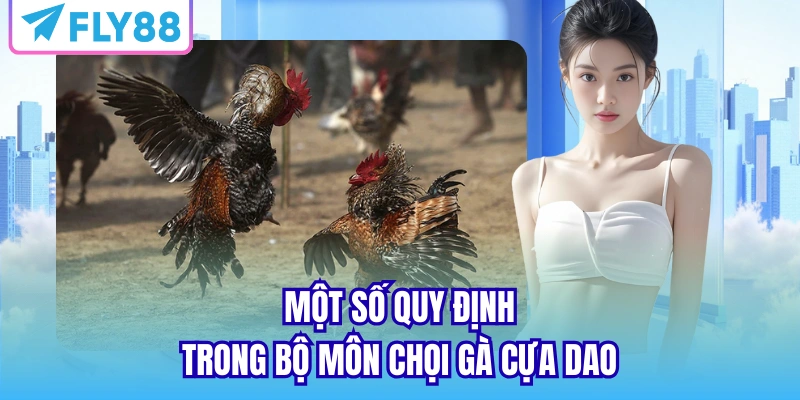 Một số quy định trong bộ môn chọi gà cựa dao