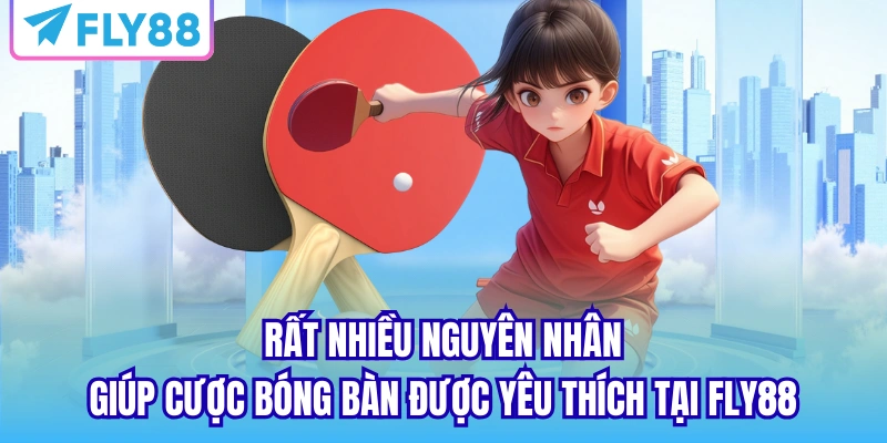 Rất nhiều nguyên nhân giúp cược bóng bàn được yêu thích tại Fly88